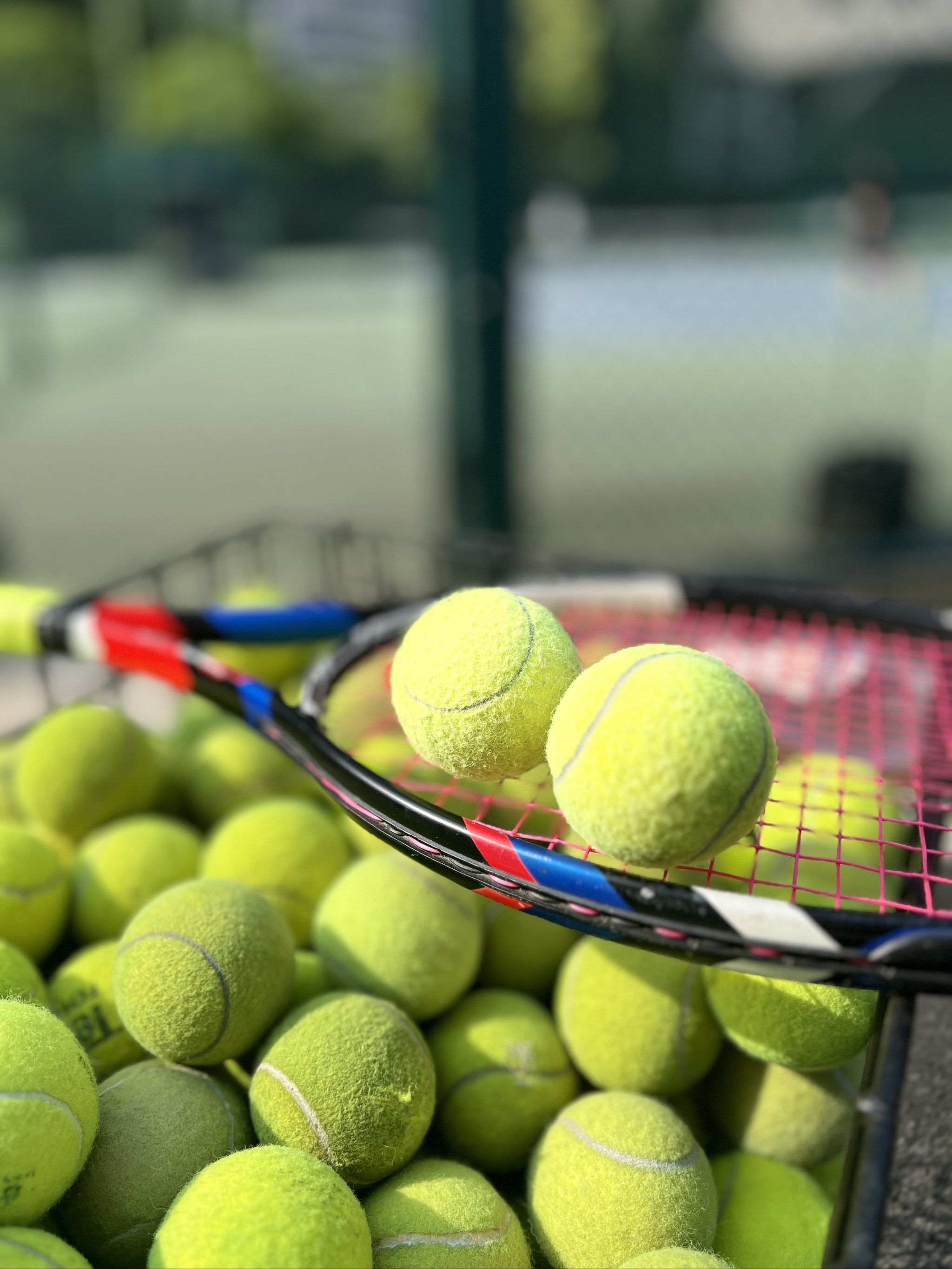 赛中一展风 赛中一展风