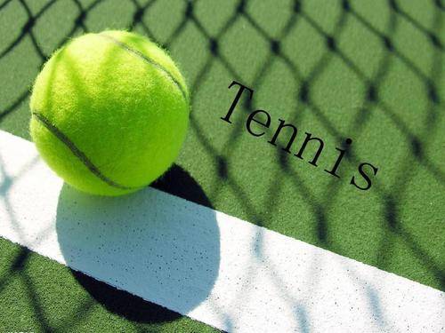 战术适配与 战术适配与