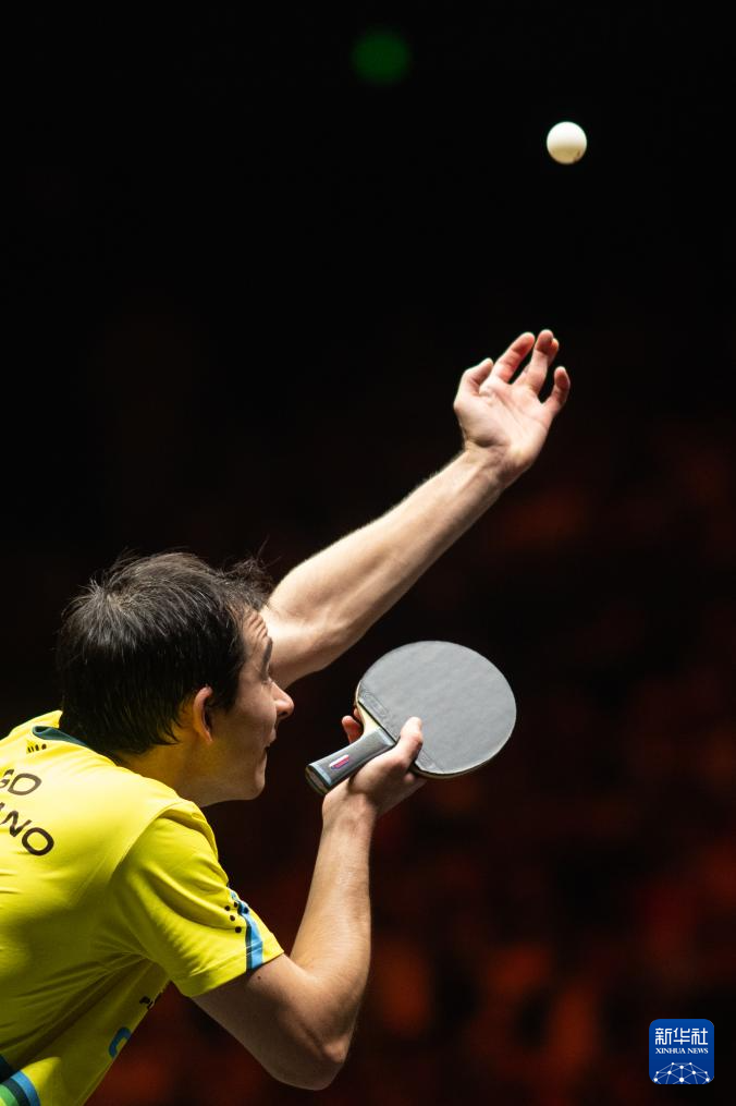 本质是风险 本质是风险